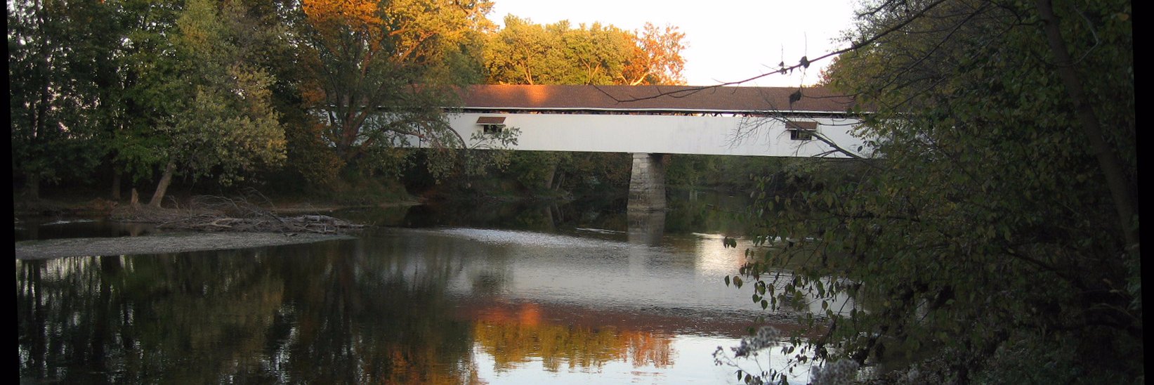 Samantha Spidel banner