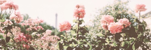 Raitis1997's profile banner image