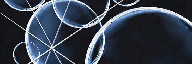 star⁷ banner