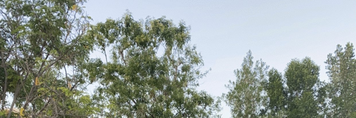 Raees A. Abacha banner