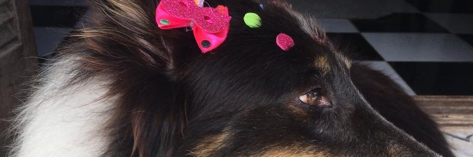 _anaaamiranda's profile banner image
