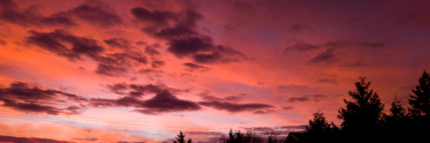 Maxwell 🇻🇦 banner