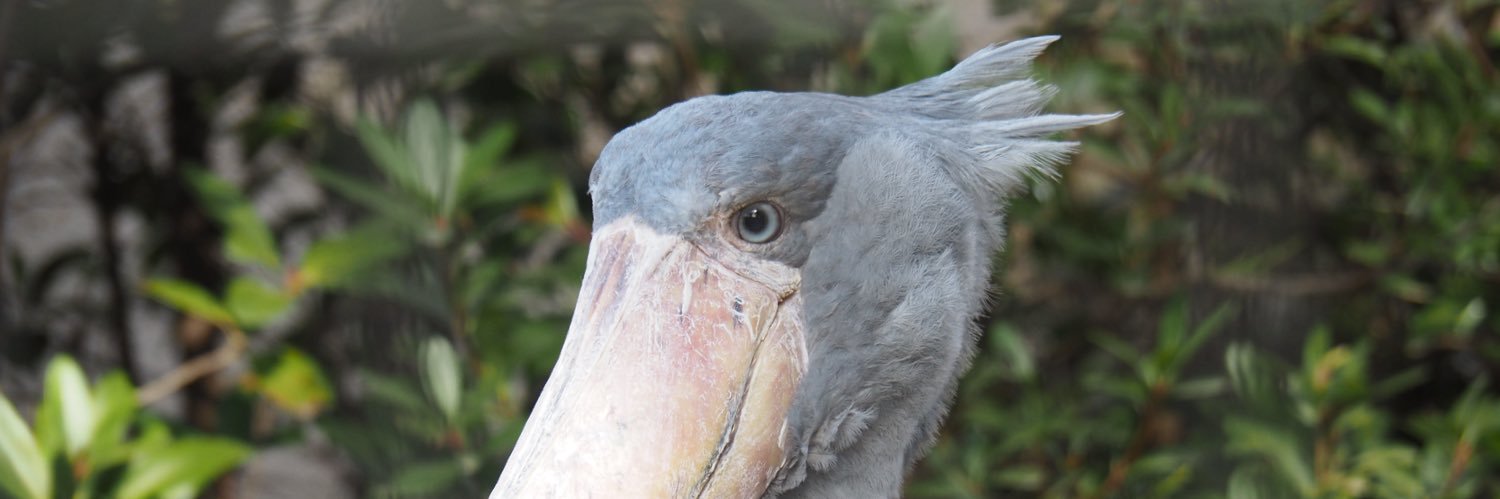 ネイト・グレイ banner