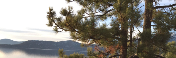 tonyguan2010 Profile Banner