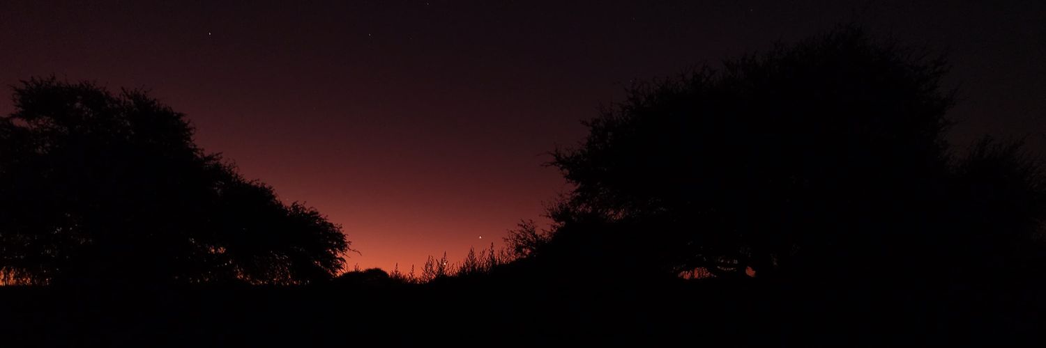 dulcepexcado's profile banner image