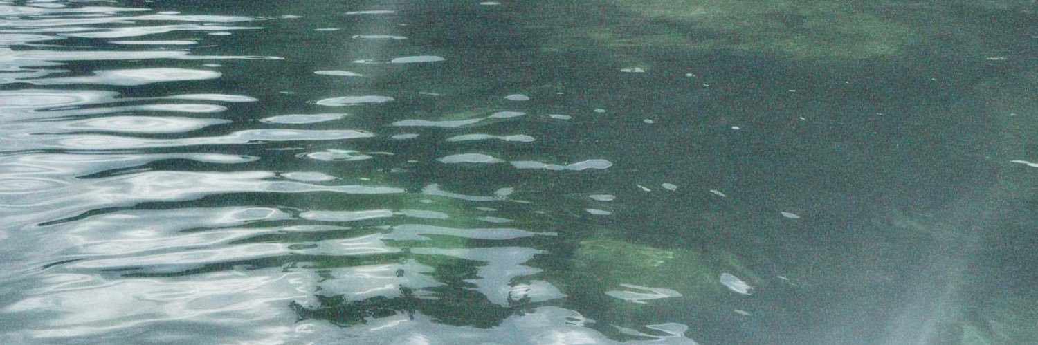 3siekrizelle_'s profile banner image