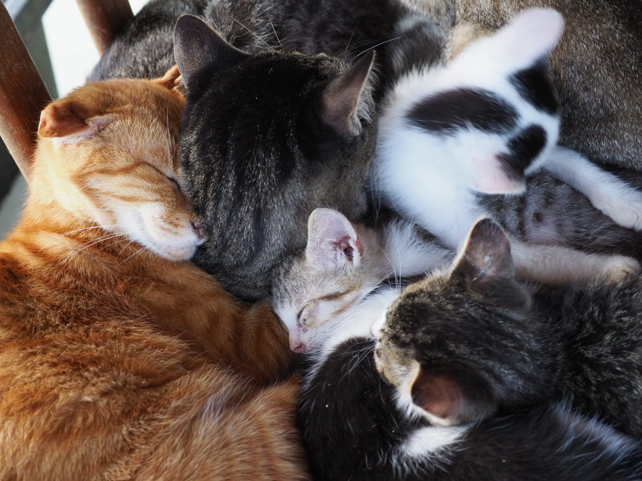 catwalkWA's profile banner image