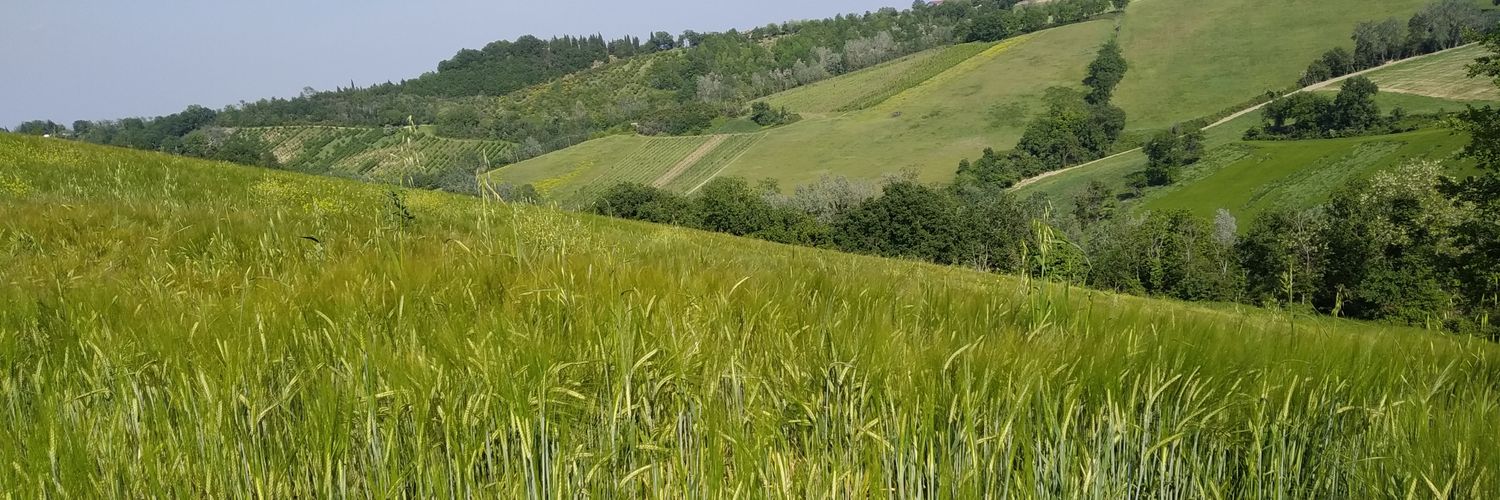 bourletta's profile banner image
