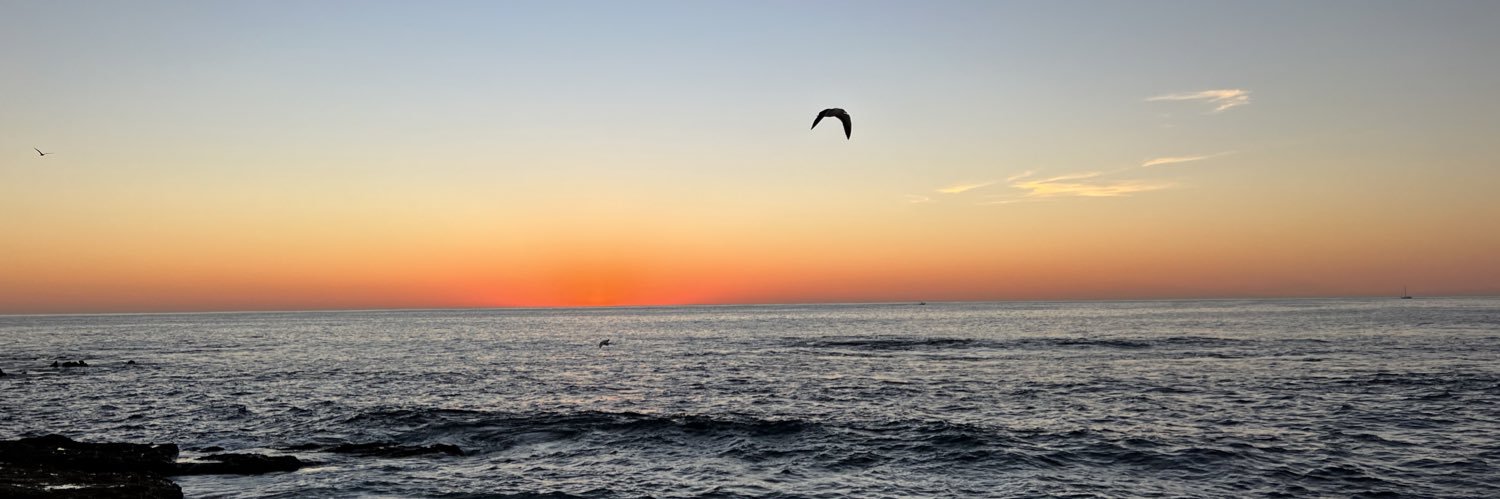 adrianmariscal's profile banner image