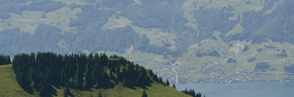 sunpdayt's profile banner image
