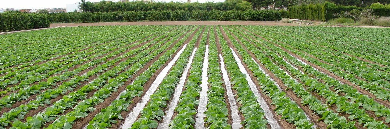 DanielSonero's profile banner image
