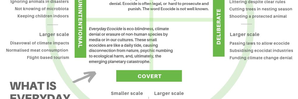 Everyday Ecocide banner