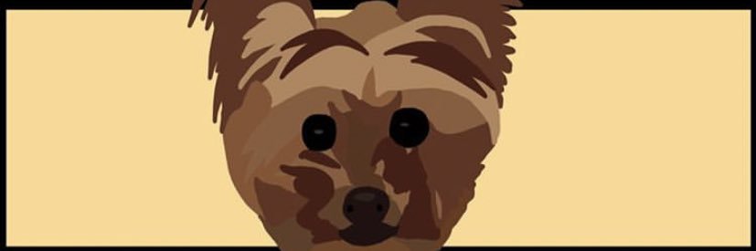 jahnadinh's profile banner image