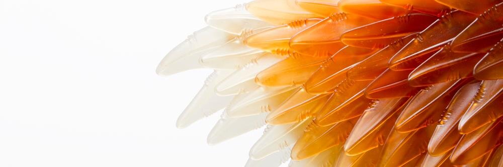GlassTweets's profile banner image