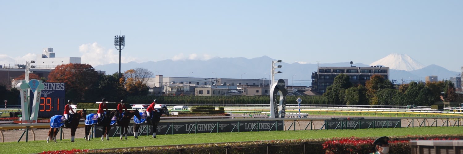 めぐセンセ🐴@東京の直線が長すぎる banner