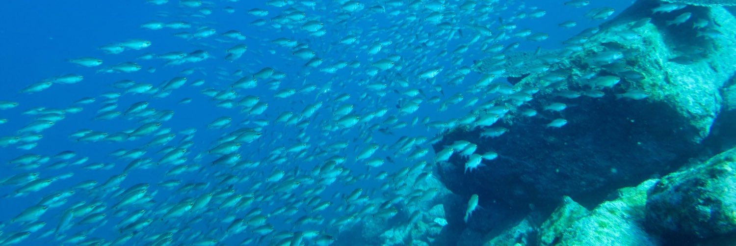 Hiro_diver banner