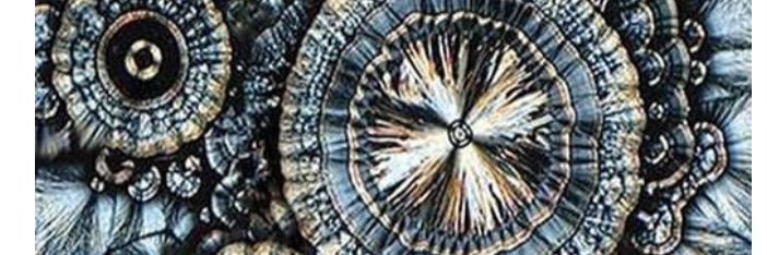 crypto2themoon's profile banner image