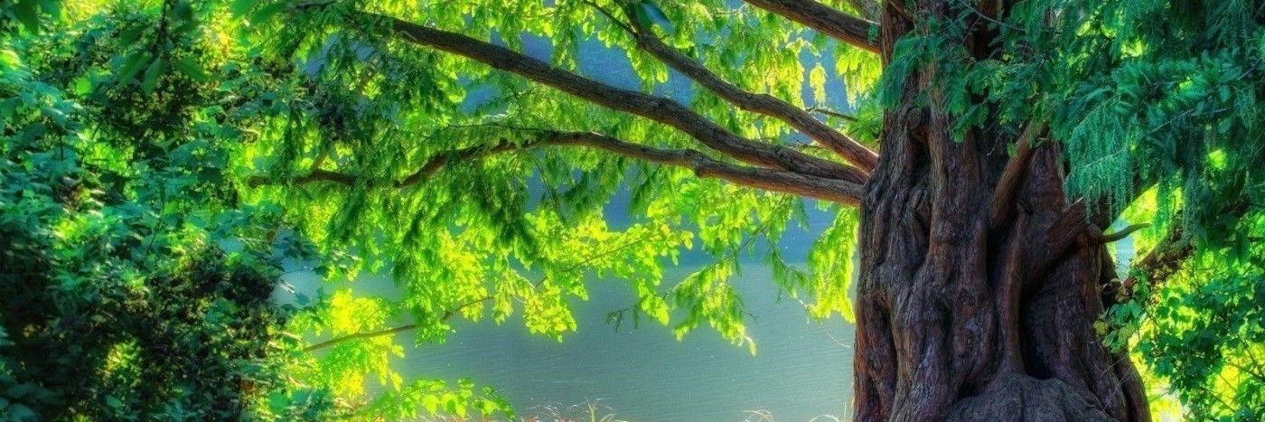 Alydamary's profile banner image