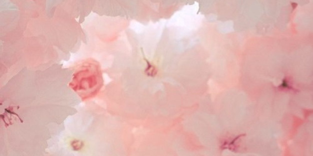 ingridgarder's profile banner image