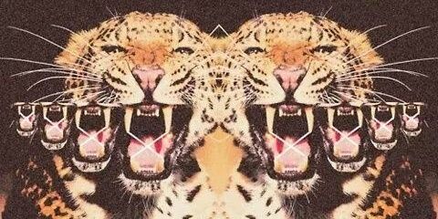 cucunaz's profile banner image