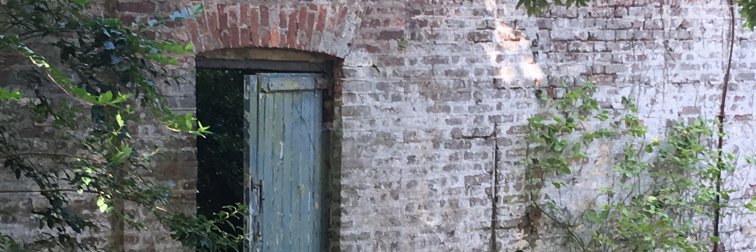 𝙳𝚊𝚟𝚒𝚍 𝚁𝚎𝚒𝚗𝚜𝚝𝚎𝚒𝚗 banner