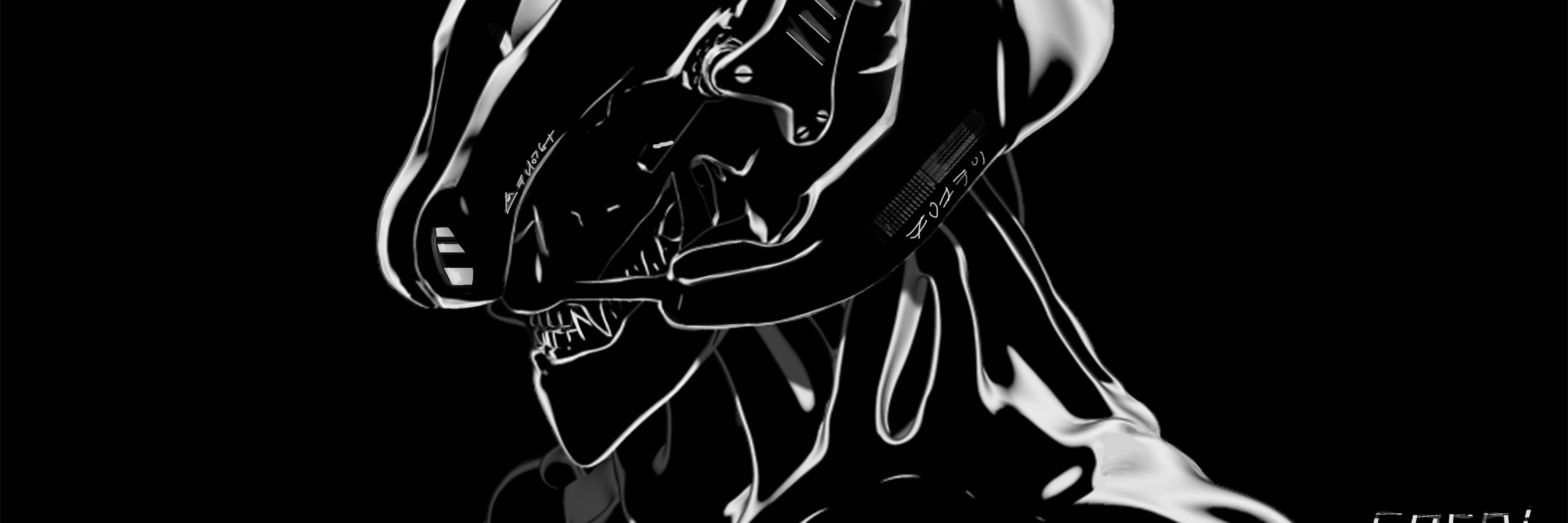 Steban Goca banner