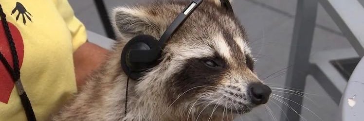 colvnskylr's profile banner image
