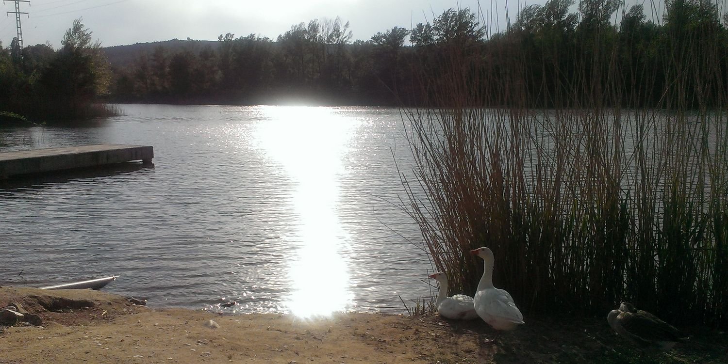 Alberto Gonzalez Due banner
