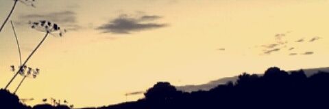 BethanyCook16's profile banner image
