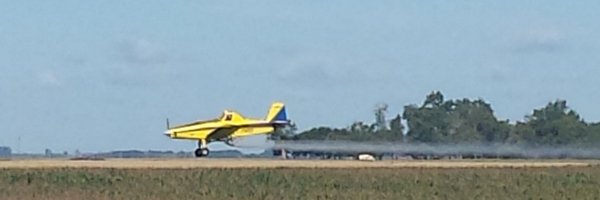 Bdion99 Profile Banner