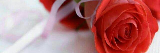 Soliman19194398's profile banner image