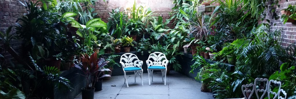 Jade says CEASEFIRE NOW!!! banner