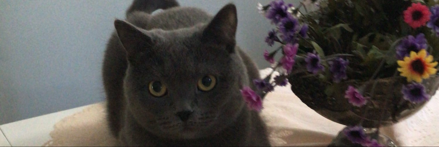 Hilalkkocc's profile banner image