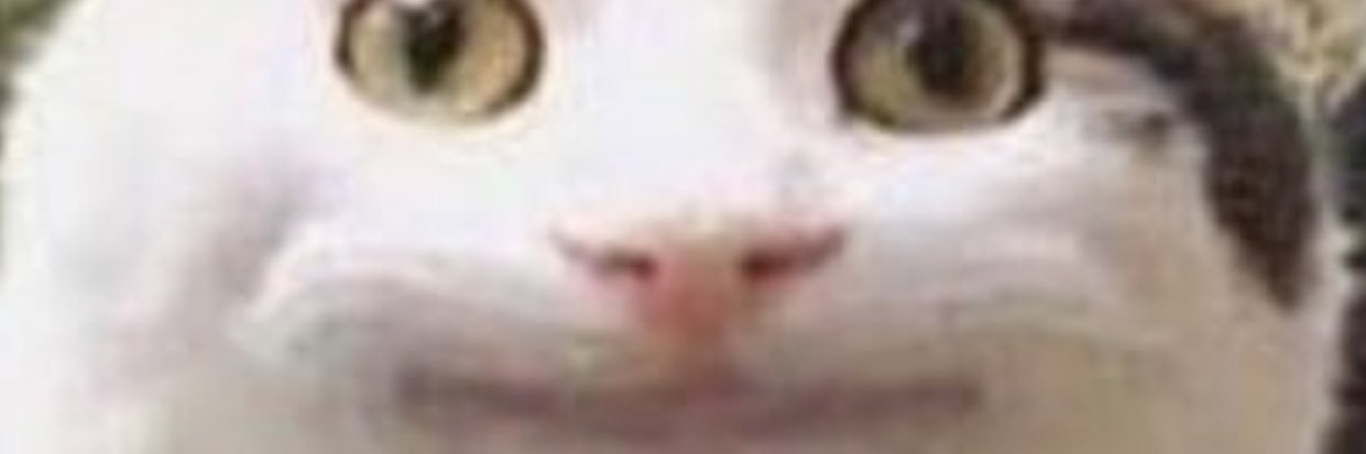 JessicaCarello1's profile banner image