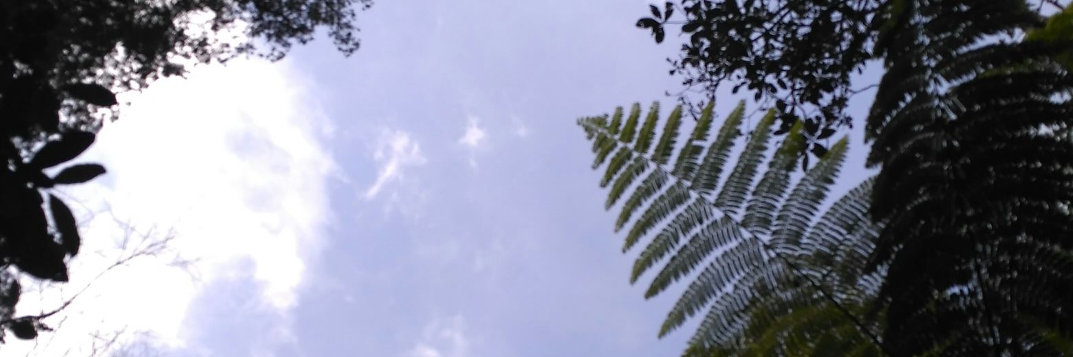 kalaMMaya's profile banner image