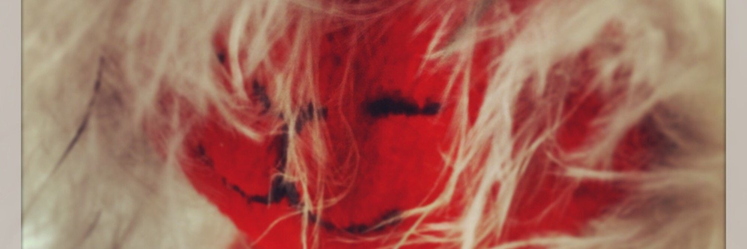 hida_ch's profile banner image