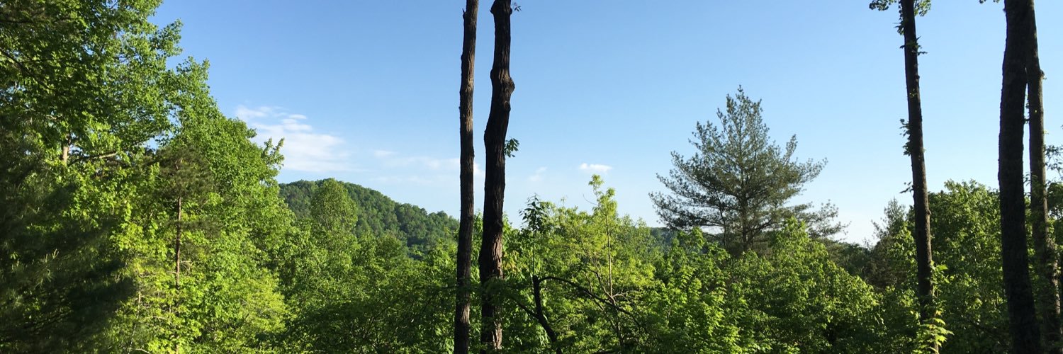 SEStigercubs's profile banner image