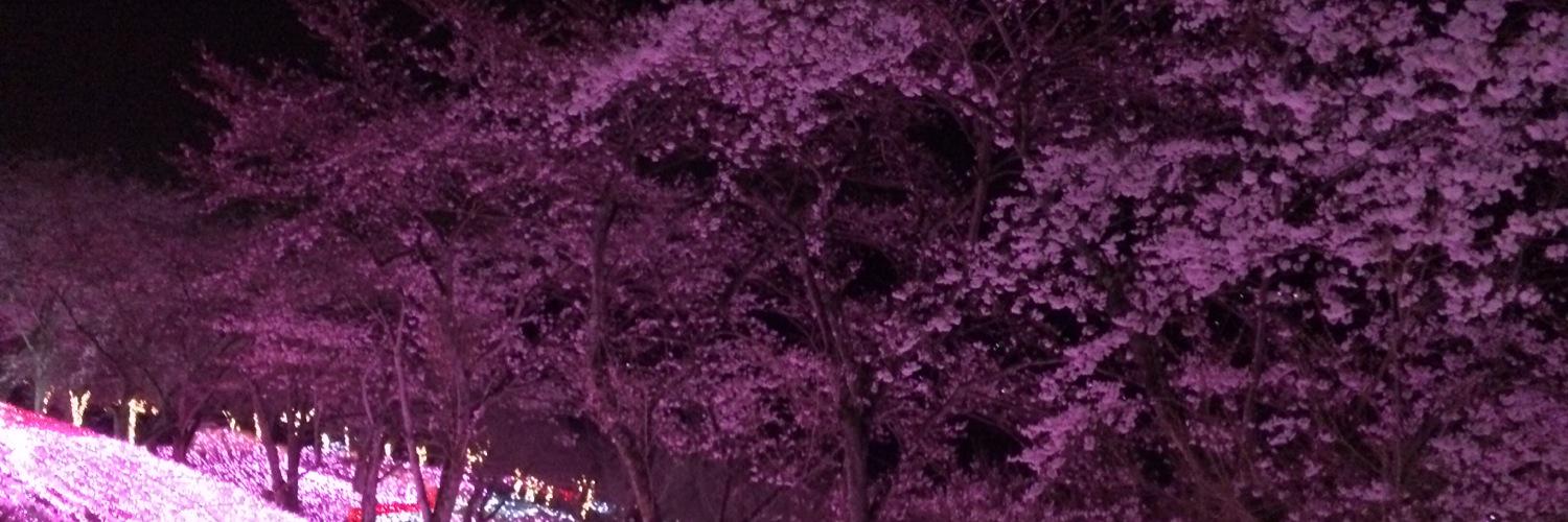 hiro_daisuke's profile banner image