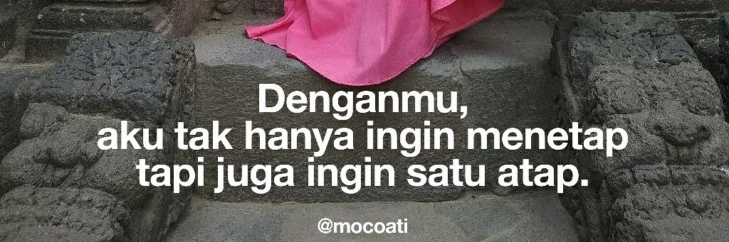 mocoati's profile banner image