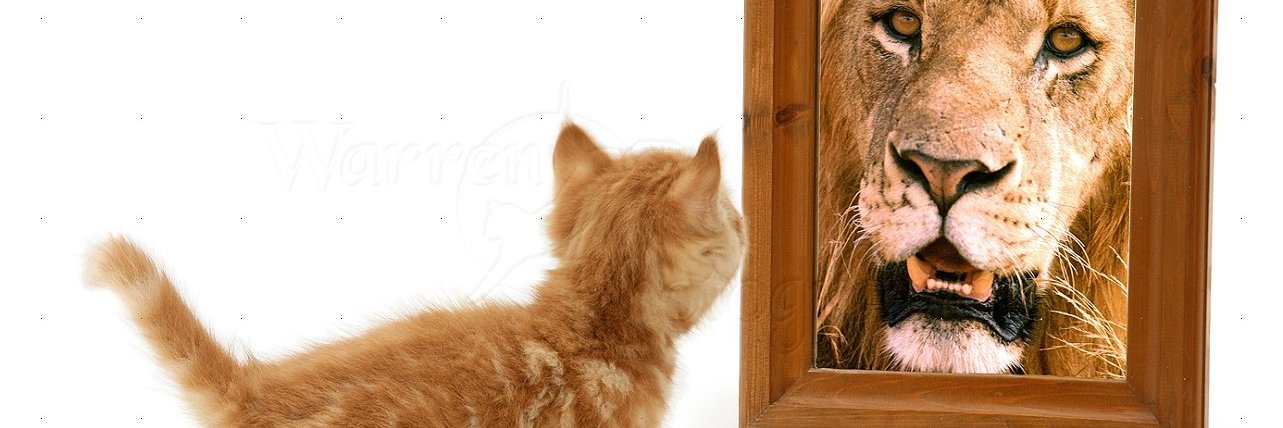 Kitty Kisser banner