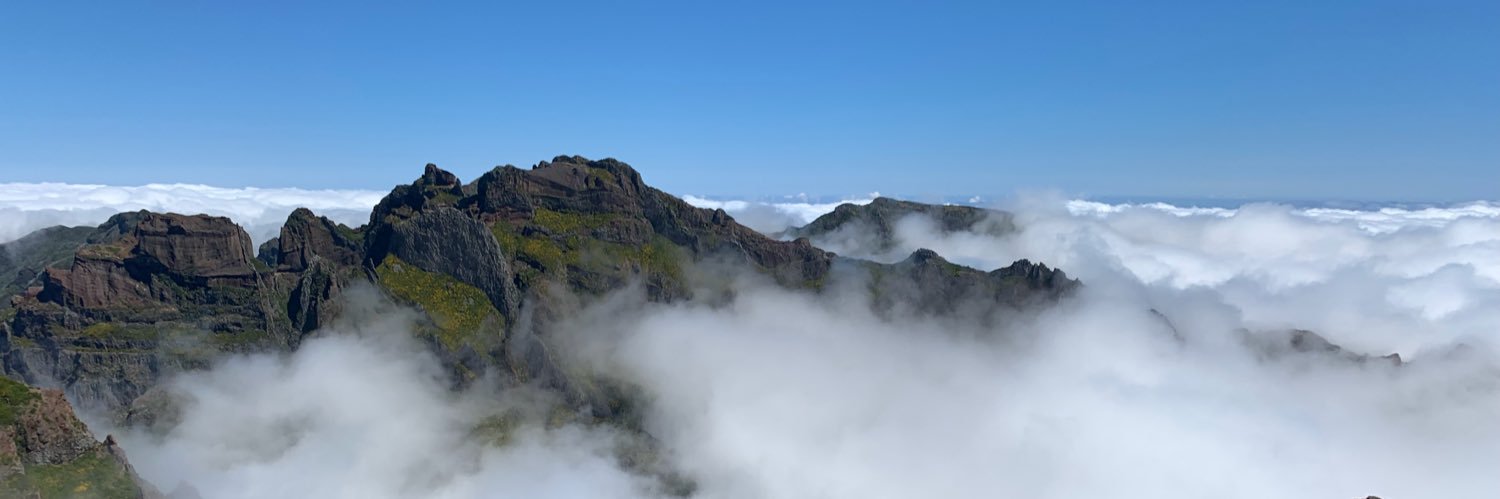 Eleanor Orebi Gann banner