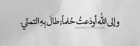 Mohammedhani_i's profile banner image