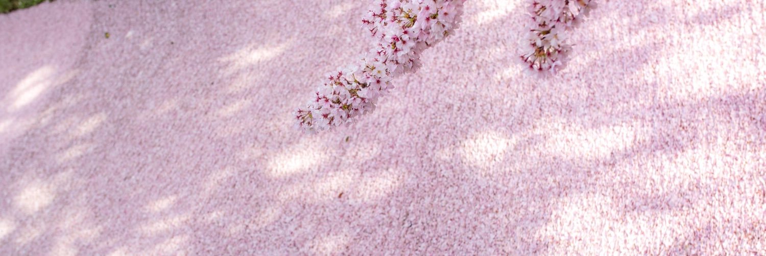 LavenderSet's profile banner image