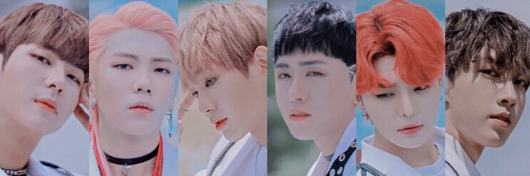 0311_Blueberry's profile banner image
