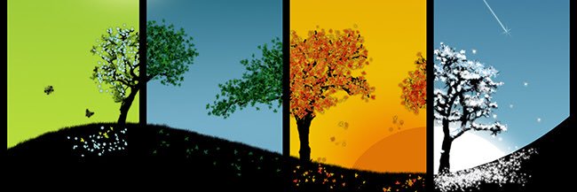 javierzil's profile banner image