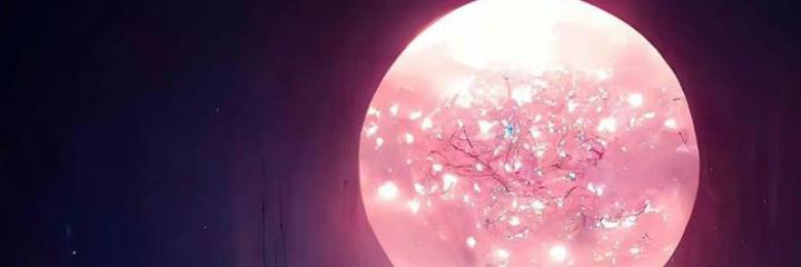 Sankiamit's profile banner image