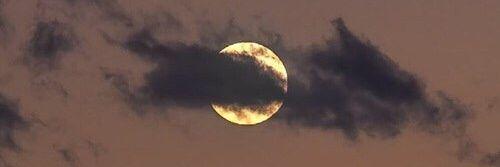 eciiiii__'s profile banner image