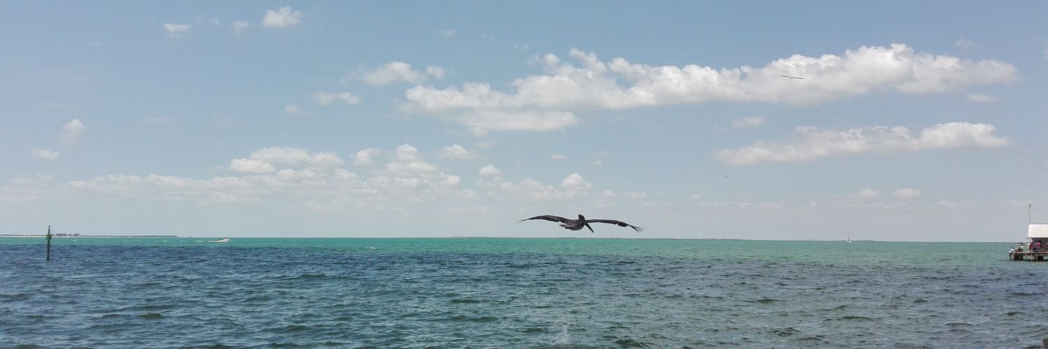 joslg's profile banner image
