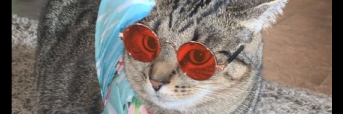 payy_jayy's profile banner image