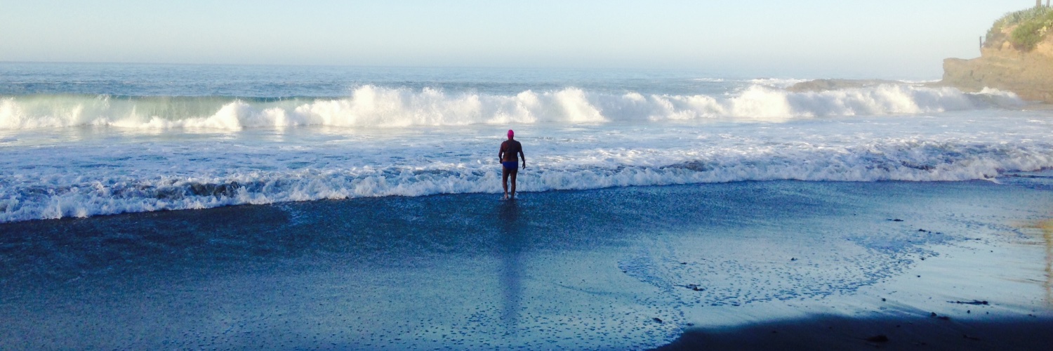 Lisa Seethaler 🪸🌻 banner